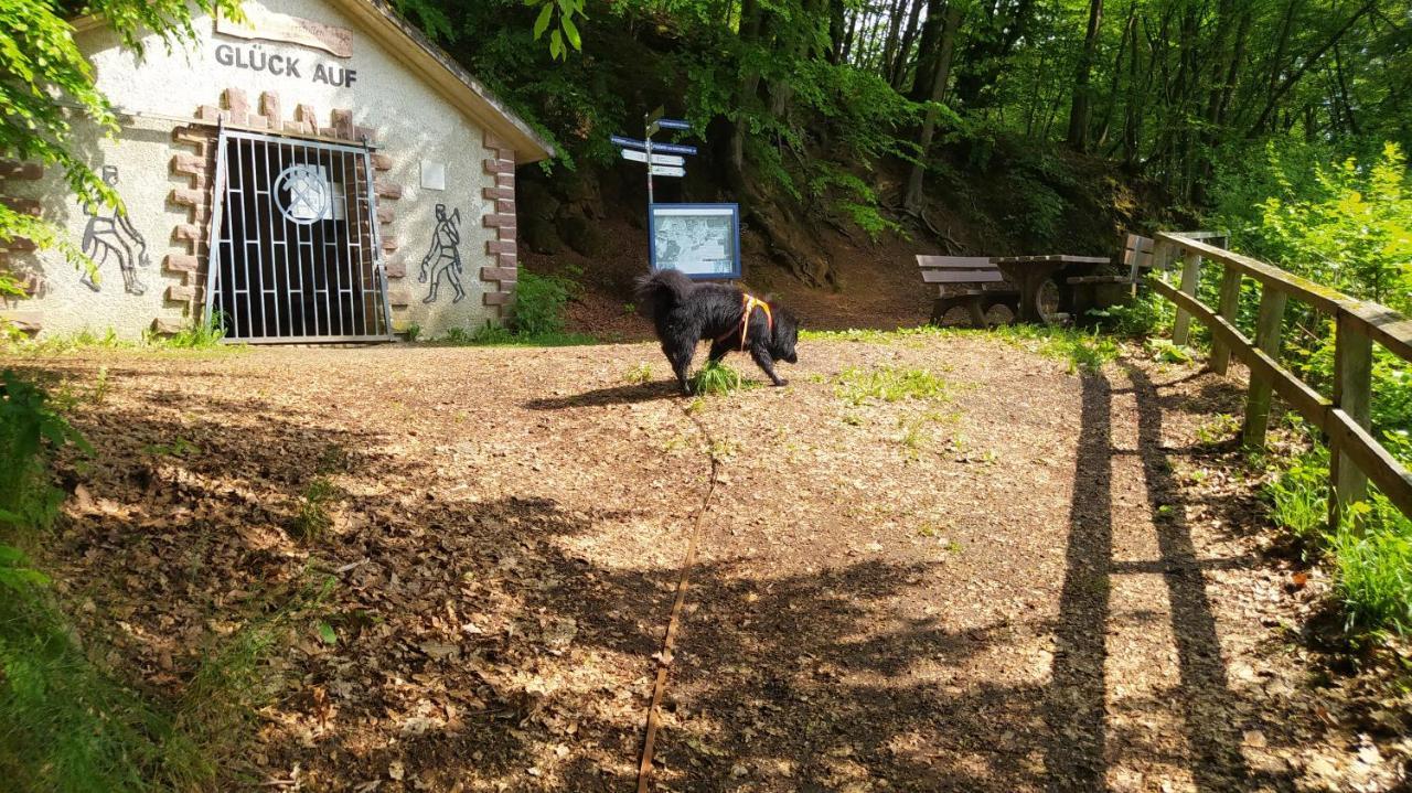 Ferienwohnung Zum Maerchenwald Bergfreiheit Exterior photo